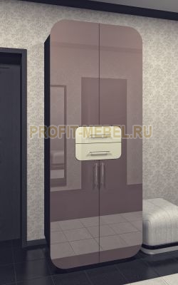 Распашной шкаф с глянцевыми фасадами Гектор - 2 по цене производителя 23540 руб. в наличии на 09.05.2024